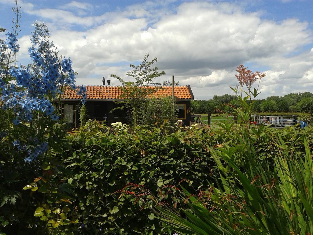 Bed And Breakfast Rodenberg Driebergen Exterior photo